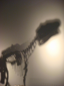 f0171180_23261472.jpg