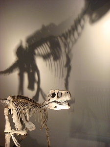 f0171180_23262094.jpg