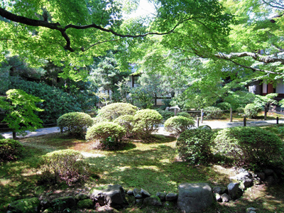 c0029281_20523070.jpg