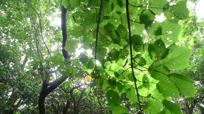 e0024081_18525638.jpg
