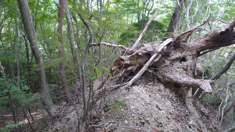 e0024081_18532181.jpg