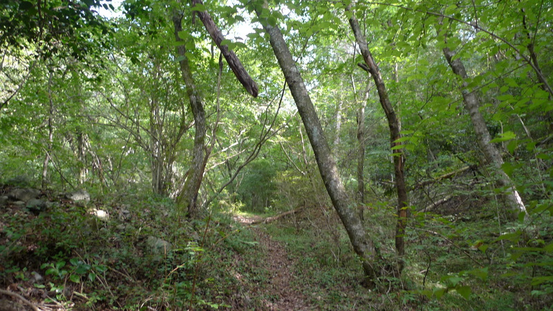 e0024081_18542342.jpg