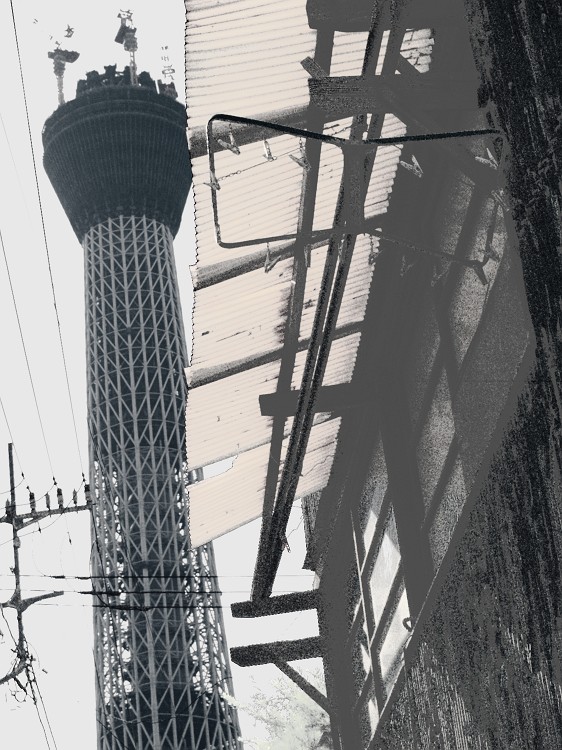 f0167482_20422913.jpg