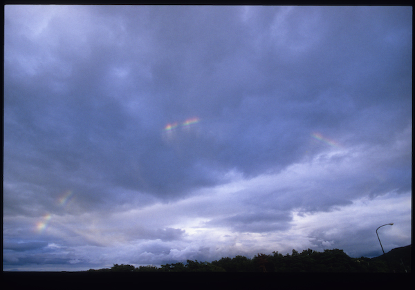 a0053783_2003689.jpg