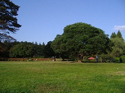 a0142083_21104297.jpg