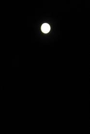e0130185_22182616.jpg