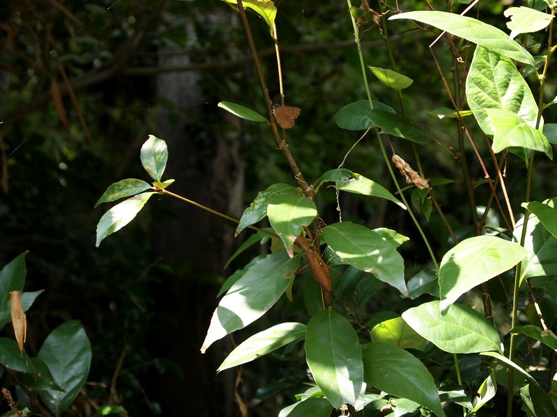 b0108186_23104888.jpg