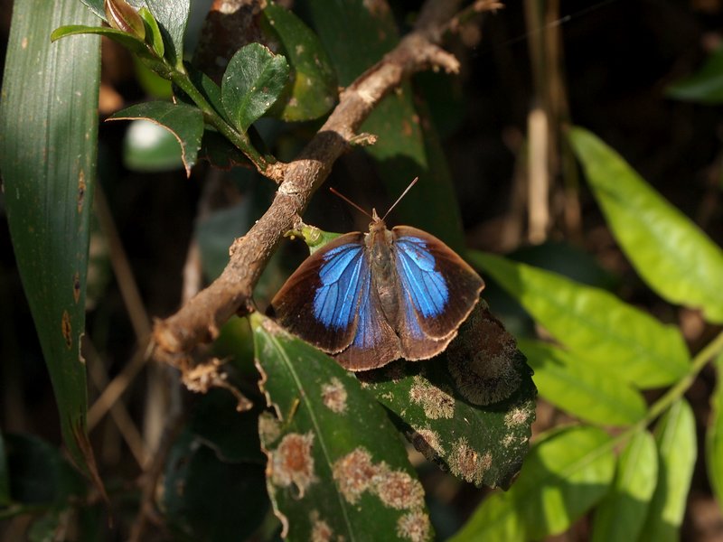 b0108186_233149.jpg