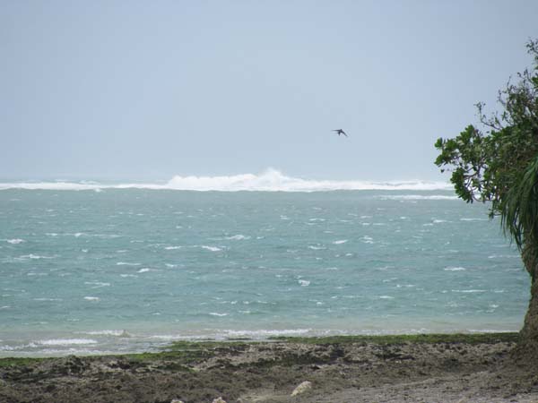 c0064389_1238785.jpg