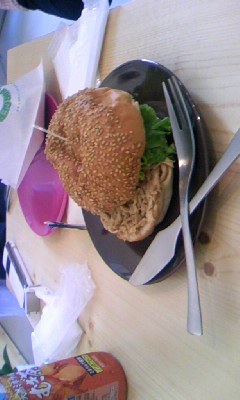 d0039293_06728.jpg