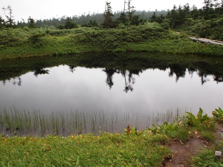 e0167593_142586.jpg