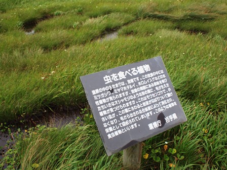 e0167593_1432579.jpg