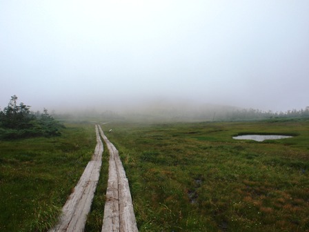 e0167593_1463819.jpg