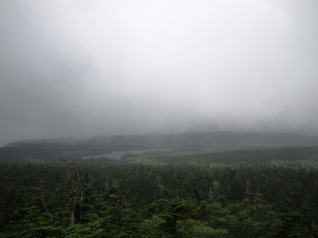 e0167593_1464760.jpg