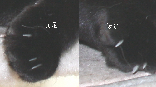 f0081594_875119.jpg