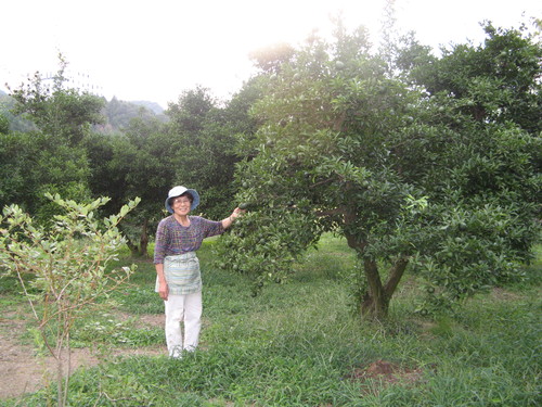 f0084695_2043320.jpg