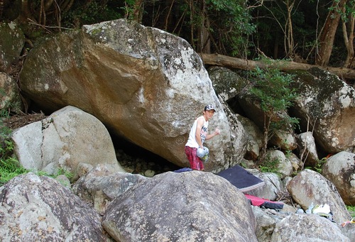 f0193298_124635.jpg