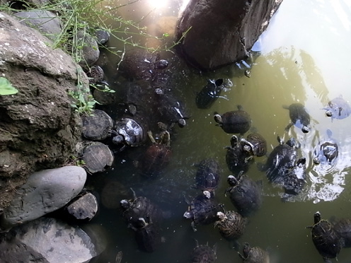 e0043700_2256681.jpg