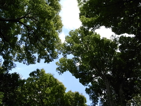 e0043700_22595234.jpg