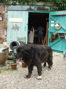 c0129702_19445459.gif