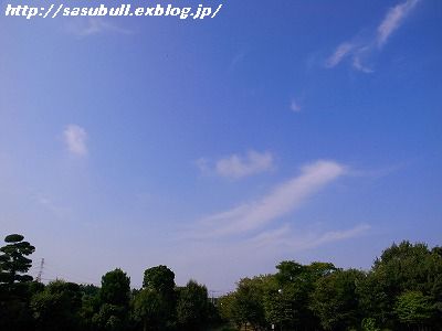 e0145805_1245188.jpg