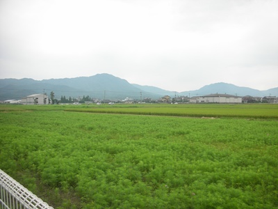 f0035506_9332185.jpg