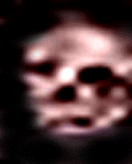 e0103408_11245615.gif
