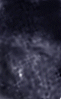 e0103408_11252087.gif
