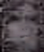 e0103408_11254484.gif
