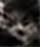 e0103408_11275191.gif