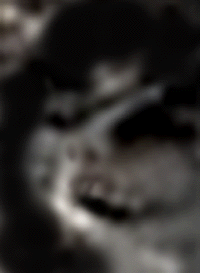e0103408_1154598.gif