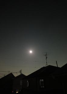 b0008511_21573132.jpg