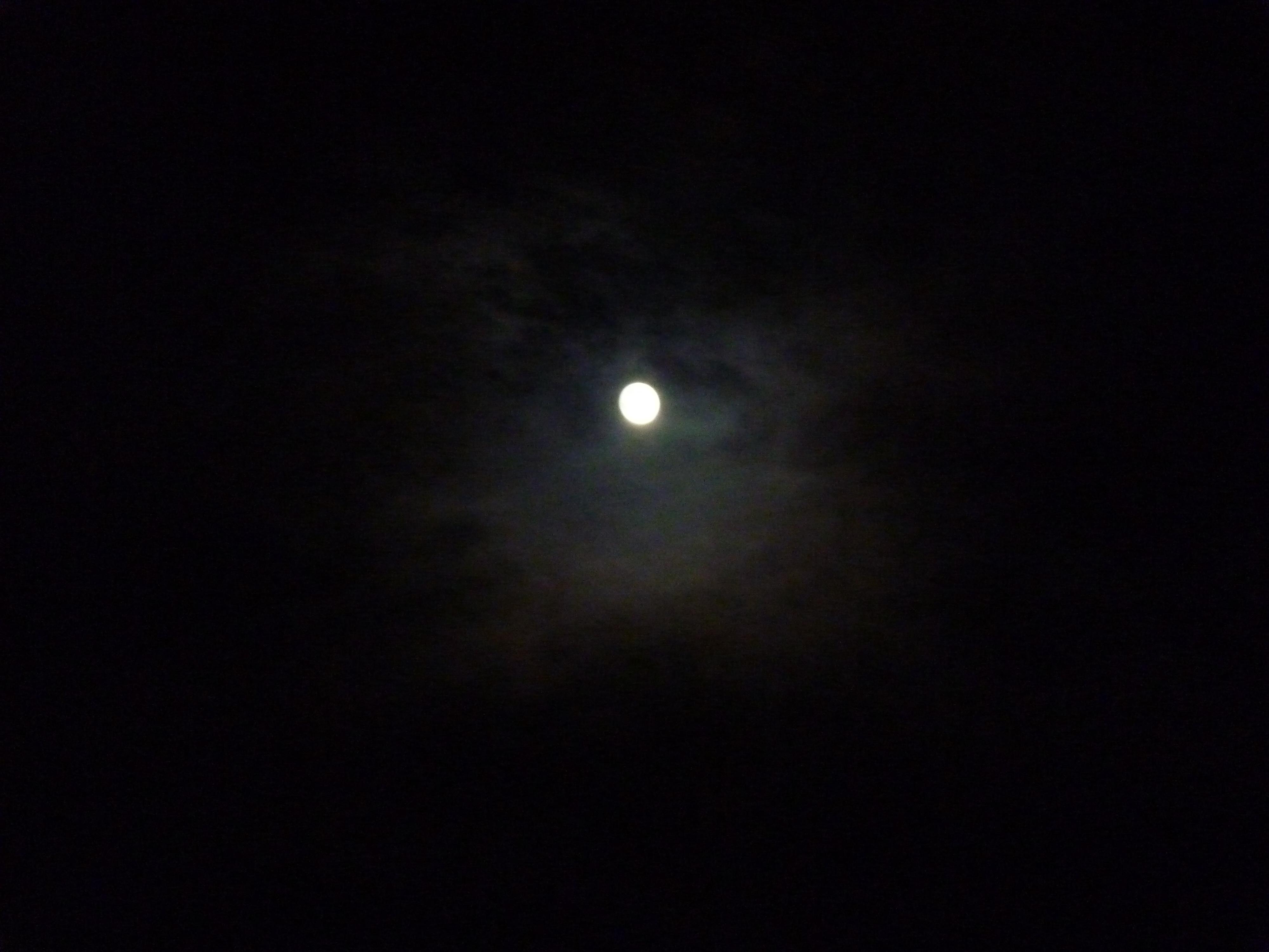 b0035611_195111100.jpg