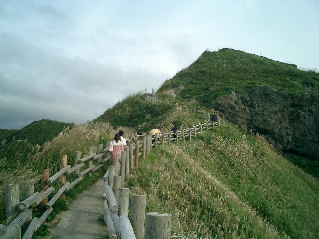 a0019212_1047976.jpg