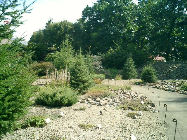 a0019212_1110131.jpg
