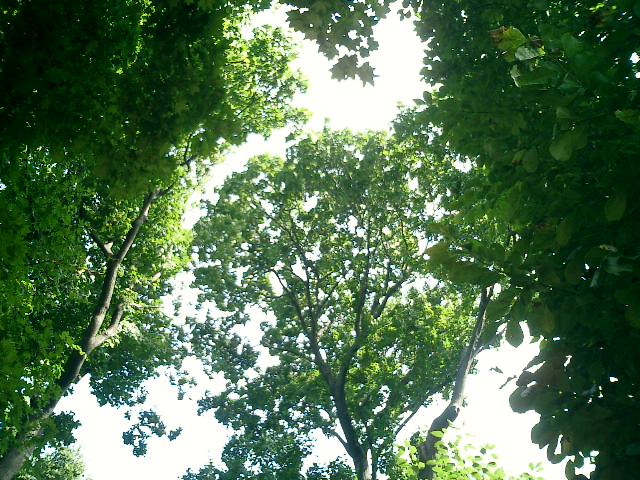 a0019212_11798.jpg