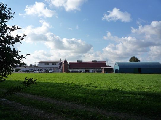 a0109914_135561.jpg