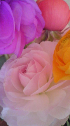 b0207514_210761.jpg