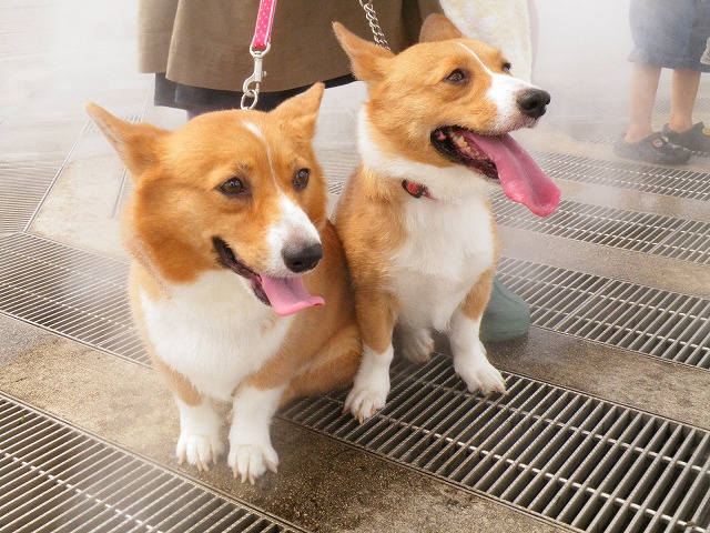 c0127617_1715466.jpg