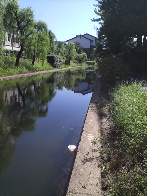 c0100318_1625251.jpg