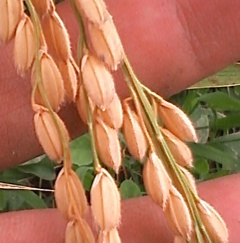 a0118120_12353375.jpg