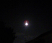 d0002224_19421686.jpg