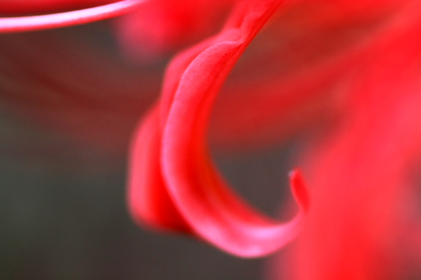 b0042527_17102579.jpg