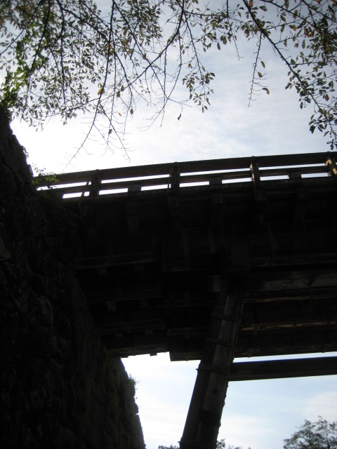 d0147727_20452332.jpg