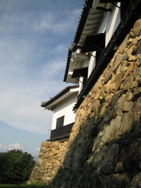 d0147727_20474394.jpg