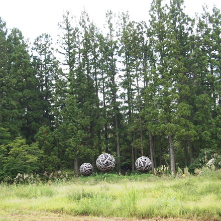 c0000134_16012.jpg