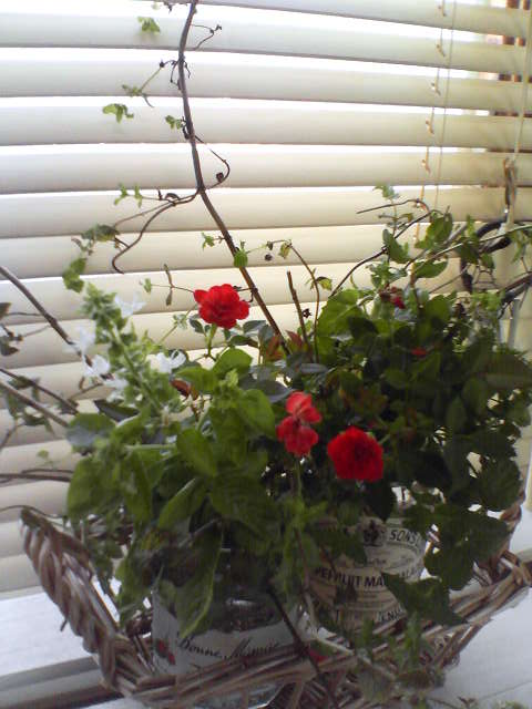 f0237037_11465183.jpg