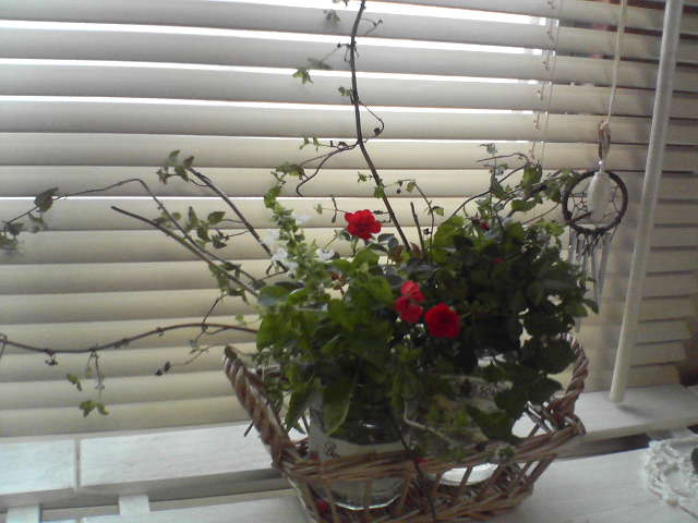 f0237037_1149446.jpg