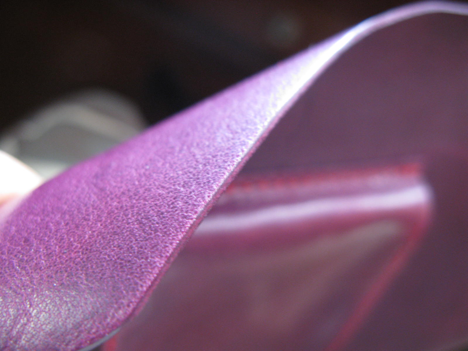 d0095541_8394538.jpg