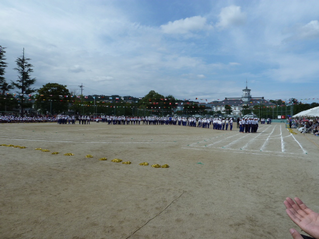 b0190242_0571582.jpg